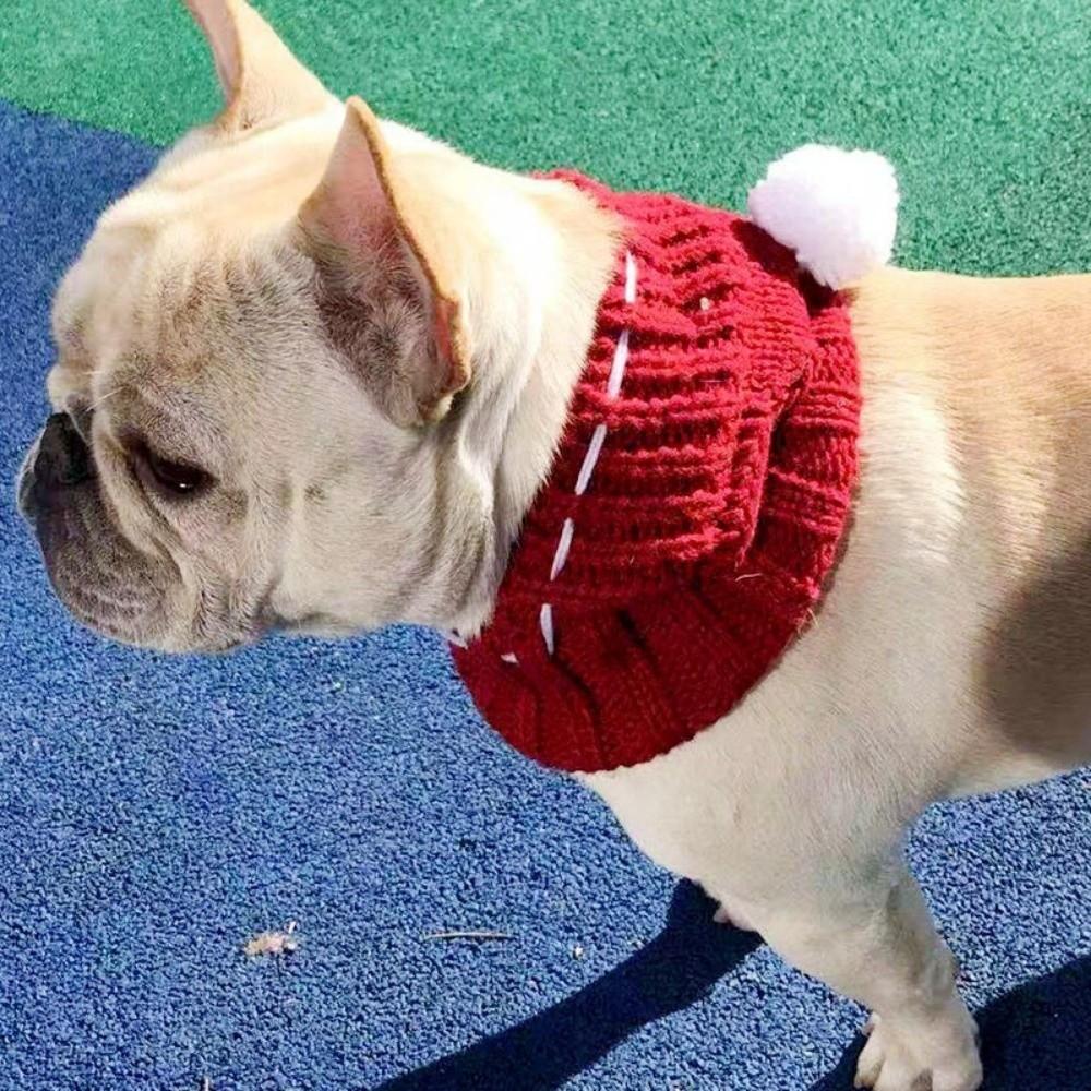 with a pom-pom Pet Head Wear Knitted Winter Dog Cap Cute Dog Hat for Small Dogs French Bulldog