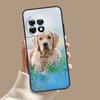 Golden Retriever Dog Case For OnePlus Nord 5 CE 3 4 Lite N20 N30 OnePlus 15 13 12 11 10T 13T 13R 8 9 10 Pro Cover
