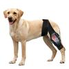 Adjustable Dog Knee Brace Durable Pet Knee Wound Protection for Hind and Front Legs
