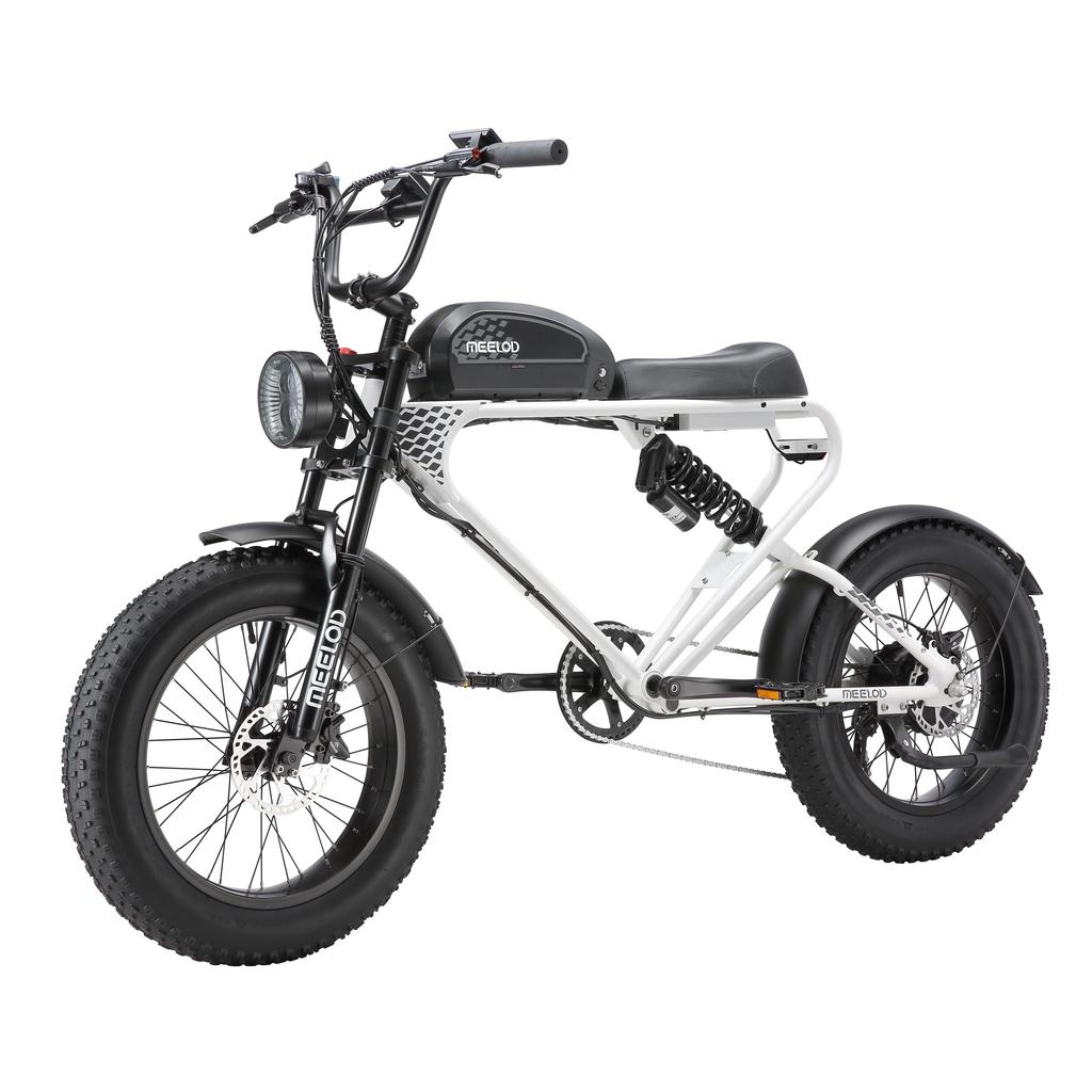MEELOD DK300PLUS Adult Electric Bicycle 750W Motor 48V20Ah Battery Electrical Road Bike 20" Fat Tire Retro Urban Commuting Mountain E-Bike