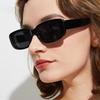 3/pcs 2pcs/set Women's Black White Plastic Frame Square Beach shade Fashionable glasses