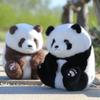 Chubby Panda Plush Doll - National Treasure Cute Panda Toy Birthday Gift for Girls
