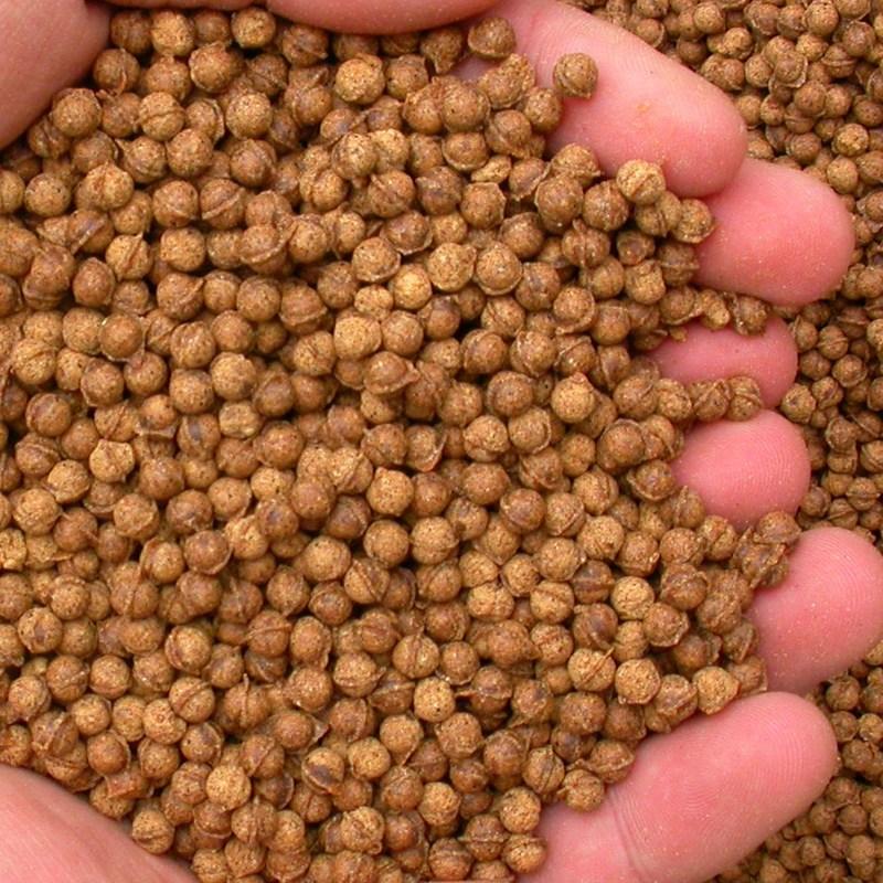 Uiseong Nongsan Uiseong Roasted Garlic Pills