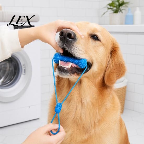 Dog Calculus Remover Tooth Brushing Helper, Pet Dental Prop Chewable Toy, Dual-Action Canine Oral Durable Chew Toy for Dogs Care Tool Cleaning Teeth,