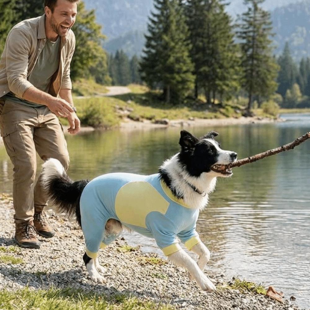 Sun Protection Dog Sunscreen Costume Cool Feeling Dog Summer Clothes Insect Protection Season