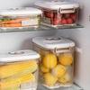 Vacuum Sealed Canister Household Fresh-keeping Box Refrigerator Food Storage Containers Drainable Kitchen Fruit Organizers Tank