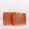 Non-woven Fabric Gift Packing Bag Solid Color Shoe Bag New Shopping Bag