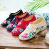 Morning Glory Morning Glory Flower Embroidery Flower Round Head Spring and Autumn Women's Shoes Single Shoes Canvas Embroidered Cloth Shoes