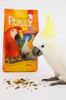 Vitakraft Polly Delicious - Pokarm Dla Dużych Papug 750G