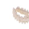 Boxed Resin Denture Upper Lower Teeth Full Mouth S/M/L Size Preformed Dentition Oral Care Teaching Model