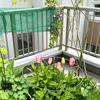 Peony Cage, Plant Support Cage with Four Legs, Heavy-Duty Metal Plant Support Ring for Roses Tomatoes Cucumbers Hydrangeas