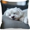 1pc Maltese Dog Print Pillowcase, 2D Flat Printing, Single-Sided Printing (No Pillow Core), 17.72 X 17.72 Inches (45 X 45 Cm), Non-Real Embroidery, Zi