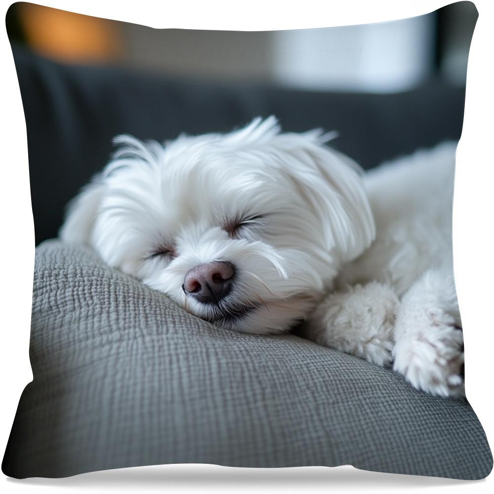 1pc Maltese Dog Print Pillowcase, 2D Flat Printing, Single-Sided Printing (No Pillow Core), 17.72 X 17.72 Inches (45 X 45 Cm), Non-Real Embroidery, Zi