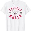 Официальная футболка Chicago Bulls Baseline НБА