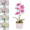Многоцветковая Искусственная Орхидея-Бабочка Белый Горшок Искусственные Растения Декор для Дома