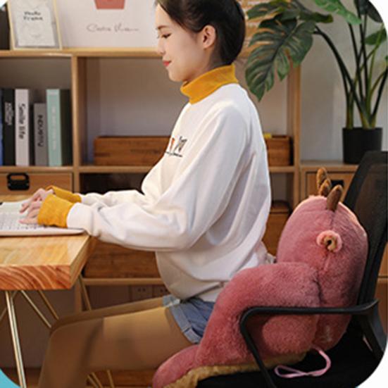 Cute Chair Cushion Comfy Plush Seat Cushion with Backrest Non-Slip Floor Pillow Tatami Seat Pad for Office Lazy Sofa Bedroom