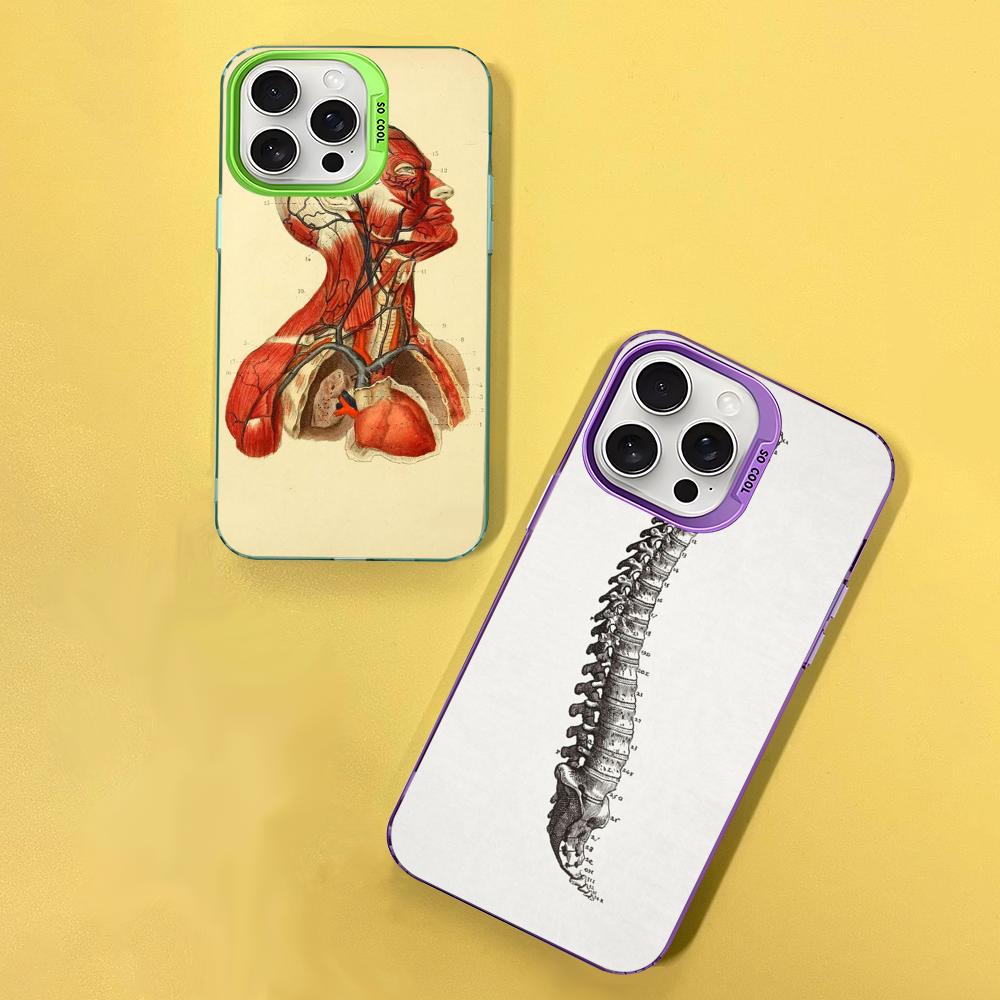 Медицинский Чехол для Телефона с Анатомией Человека Для IPhone 16 15 14 13 12 11 Pro Max X XR XSMAX 8 7 Plus Матовый Ударопрочный Задний Чехол