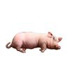 Реалистичная плюшевая игрушка спящая свинья, мягкая набивная игрушка, копия животного с фермы, декоративная подушка для дома и офиса