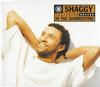 CD SHAGGY RAYVON  In The Summertime 724389298321VS Virgin 1995 UK Reggae Ska  Dub Used