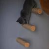 Wooden Cat Scratching Post The Wall Not Drop Scraps Sword Rope Large Cat Climbing Hanging Kitten Items Pet Products Supplies