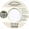 7-дюймовая пластинка CAPLETON / DR. РИНГ ДИНГ - Шаг 2 Огонь / Dancehallfieber ( GR07012 Germaican 2005 Европа Регги, Ска и Даб