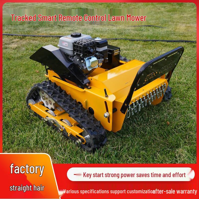 Gasoline-Powered Crawler Mower & Mulcher for Weeds - CE Certified, Export to Russia
