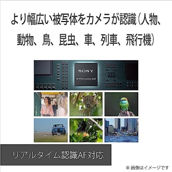 Корпус беззеркальной камеры SONY не черный 6700 APS-C (Объектив в комплекте) ИЛКЭ-6700