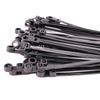 Fixed Head Black Nylon Cable Tie with Screw Mount