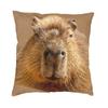 Капибара, дремлющая на солнце, наволочка с принтом, декоративная роскошная наволочка, мягкая наволочка 45x45 см