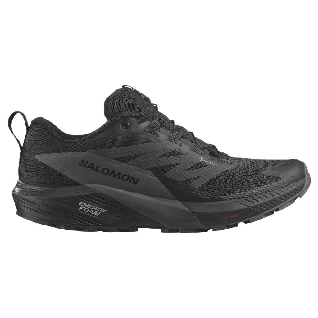 Sense Ride 5 Salomon GORE-TEX 'Black Magnet' L47147200
