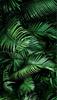 GLASS PLATE BOARD PANEL TABLETOP 30x52 LEAVES