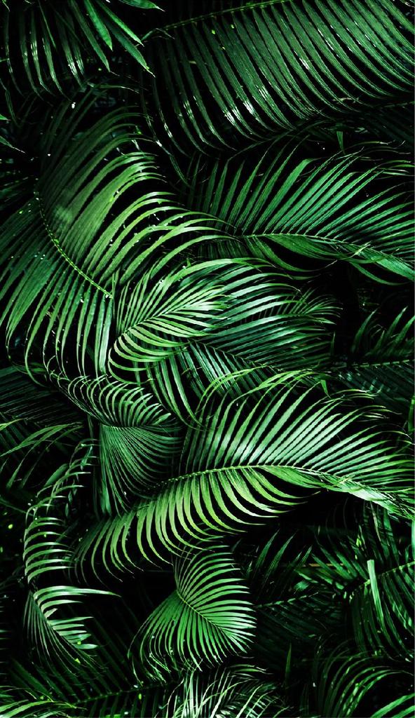GLASS PLATE BOARD PANEL TABLETOP 30x52 LEAVES
