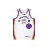 Li Ning Серия CBA Быстросохнущая Дышащая Профессиональная Тренировочная Игровая Баскетбольная Майка Версия для Фанатов Сезон 25-26 Унисекс майка AAYV495-1