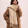 Tassel Imitation Cashmere Scarf Korean Style Women Shawl Elegant Long Wool Scarf  Student