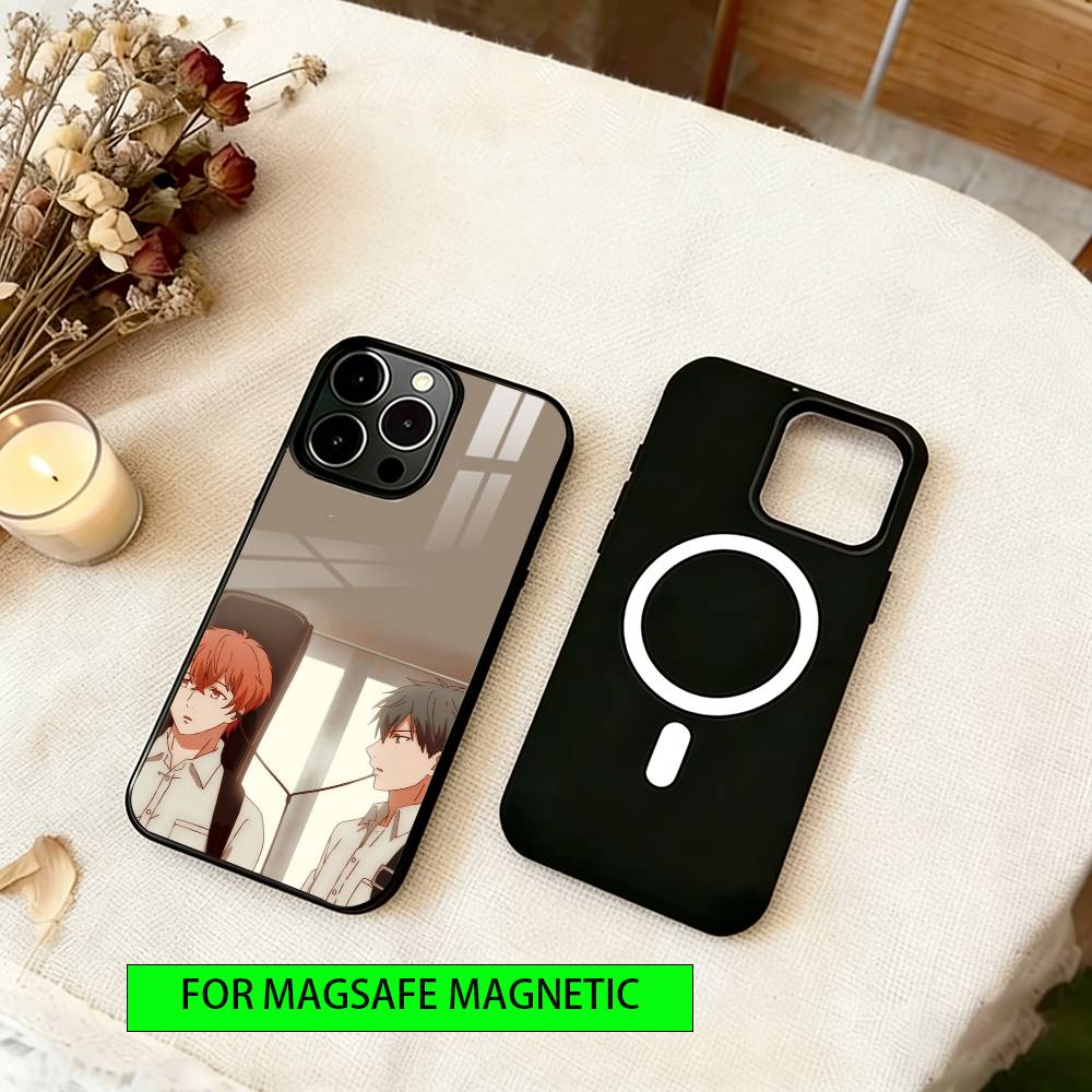 Given Phone Case For iPhone17,16,15,14,13,12,11 Plus,Pro Magnetic with Magsafe Wireless Charging
