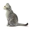 Schleich Sitting Cat SL13771 Figure, 2 Pieces, Popular Toys In Korea