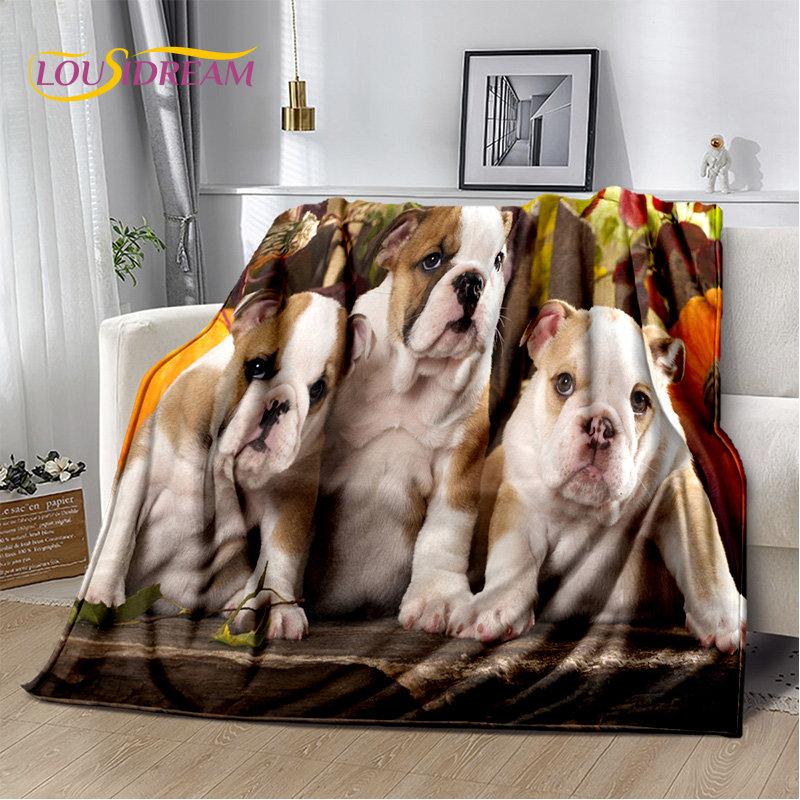 Cartoon French Pit Bull Dog Pet Soft Plush Blanket,Flannel Blanket Throw Blanket for Living Room Bedroom Bed Sofa Picnic Cover