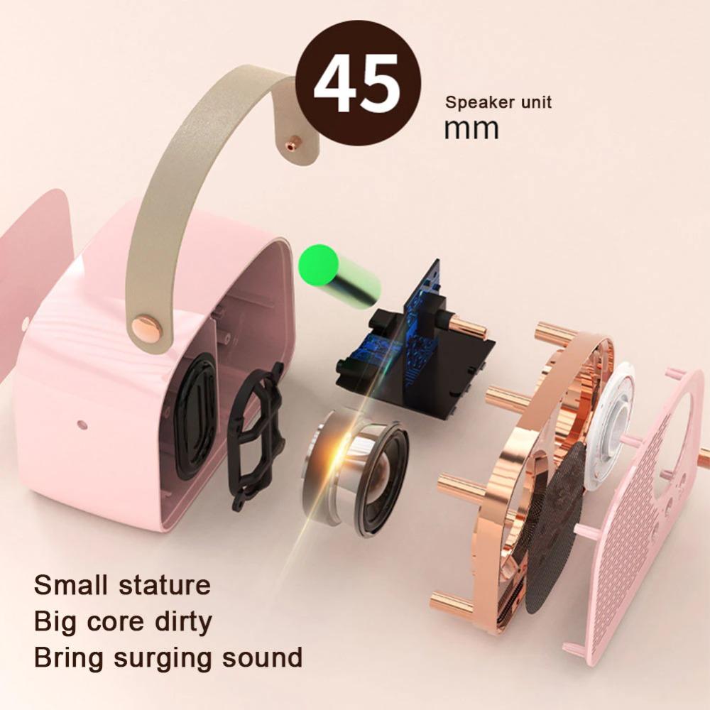 Портативный беспроводной FM-приемник Bluetooth-совместимый 5.0 с микрофоном Мини-радио Bluetooth-динамик