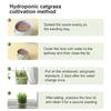 Cat Grass Cup Cat Soilless Hydroponic Cat Grass Повторяемый