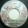 7-дюймовая пластинка BACHMAN-TURNER OVERDRIVE - Roll On Down The Highway M73656 Mercury 1975 Канада Рок Б/У