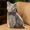 50СМ Симуляция Британская короткошерстная кошка Плюшевые игрушки 3D печать Животное Подушка-подушка Набивная Домашний декор Подарки на день рождения