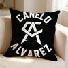 Cool Boxer OOleksandr Usyk  Pillow Case Square DoubleSided Sofa Cushion Cover Bedroom Bedside Pillow