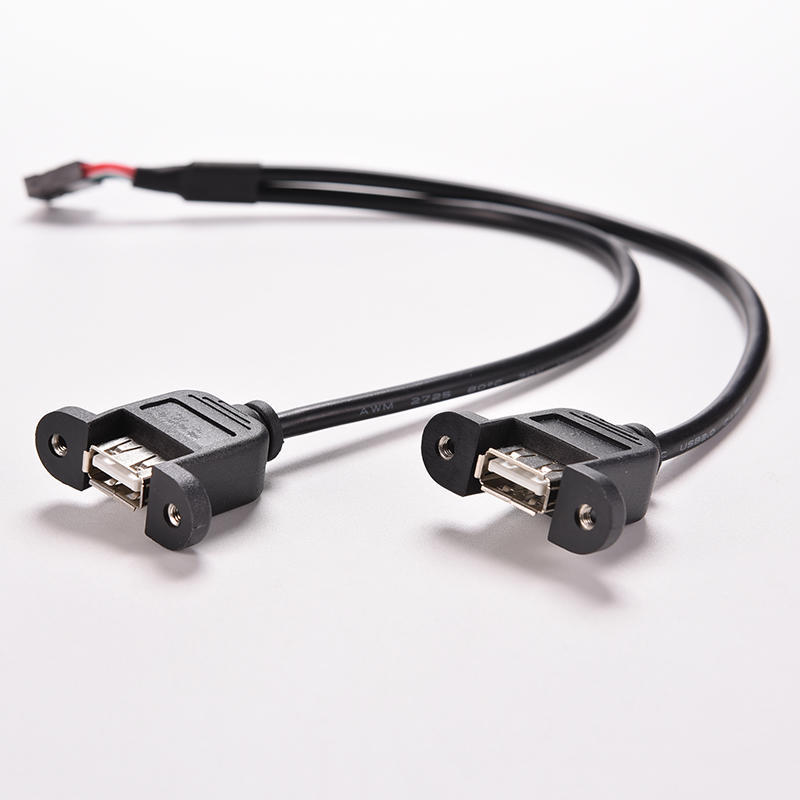 1 шт. черный 30 см/1 фут 2 порта USB A мама к внутреннему 9-контактному разъему кабеля-адаптера
