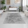 Washable Printed Carpet LNA1318