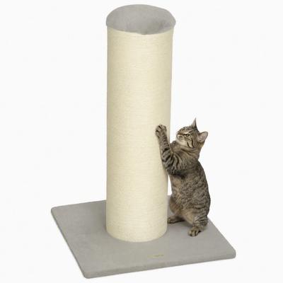 Кошки – Когтеточки