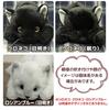 Real Series Made In Japan Realistic Cat Stuffed Toy 58cm Cat L (Black Eyes)