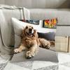 1pc Smiling Golden Retriever Pillowcase, Soft and Comfortable Polyester Short Plush Fabric, Single-sided Print, Pillow Insert Not Included, 44.96*44.9