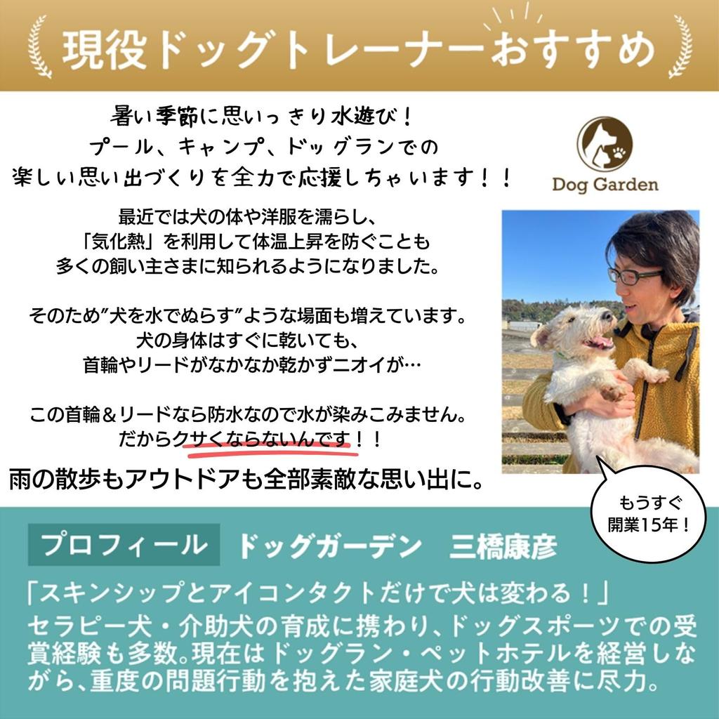 DogGarden Waterproof Collar Lead Set Fits Necks Suitable for All Small Lightweight & (Small), 24-36cm, 1.5cm Wide, Dogs, PVC, Pool, Tie-Dye