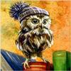 Full 5D Diy Diamond Painting Cartoon Animal Owl Diamond Embroidery Cross Stitch Home Decor Handmade