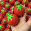 Хрустящий Имитация Помидора Фрукт Ручной работы Хрустящий Снятие Стресса Сжимаемый Фиджет Игрушка Декомпрессия Снятие Тревоги Рука Расслабляющая Украшение